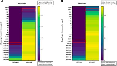 Antifungal effects of echinocandins diminish when exposed to intestinal lumen contents: a finding with potentially significant clinical implications